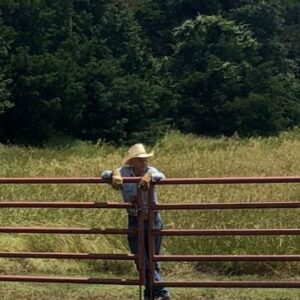 perry wainscott Gallery