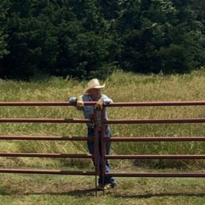 perry wainscott Gallery